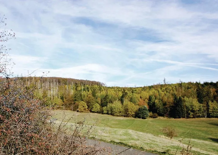 169 In Nyaraló Frankenau